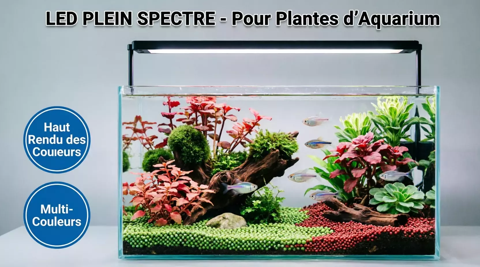 Lumière LED pour aquarium avec minuterie et réglage de la luminosité
